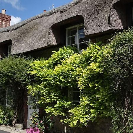 Little Thatch Cottage - Cerne Abbas, Dorset Екстериор снимка