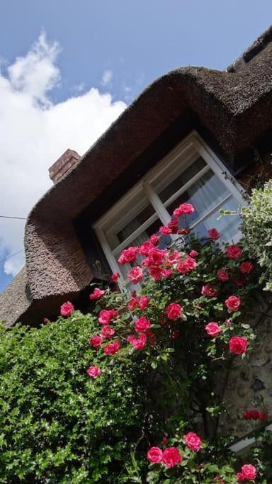 Little Thatch Cottage - Cerne Abbas, Dorset Екстериор снимка