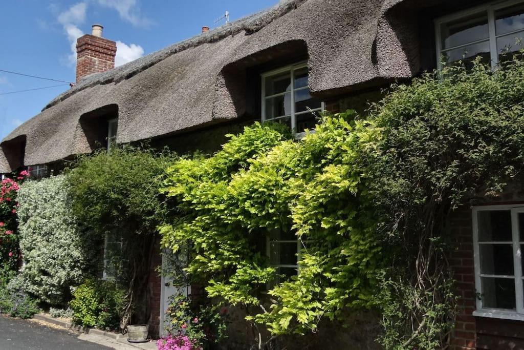Little Thatch Cottage - Cerne Abbas, Dorset Екстериор снимка
